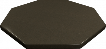 octagon_e901-1